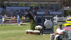 Longines EEF Series - CSIO3* Madrid - Int. jumping competition with jump-off (1.50 m) GP SUZUKI