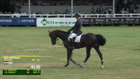 CSI Twente - CSI3* – 1.55 m. jump off Grand Prix CSI3* LR (60 starts)
