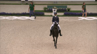 CHIO Aachen - HAVENS Pferdefutter- - Grand Prix CDI4*