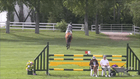 Spruce Meadows Pan American CSI5* - Friends of the Meadows Jumper - 1.30m