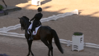 ECCO FEI World Championships 2022, Herning (DEN) - Grand Prix Special - Blue Hors FEI Dressage World Championship 2022
