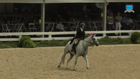 LARGE PONY O/F - USEF PONY FINALS 2022 - 2022, Videos, Live Streams, Films  and Shows