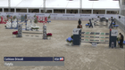 Hubside Jumping Valence CSI2* - CSI2* - Faults & Time - 1.45m (LR) - Art. 238.2.1 - 25.500 € -  - Presenté par HUBSIDE.STORE