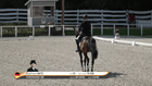 FEI Dressage European Championship for Children and U25 - CH-EU-D-U25 - FEI Grand Prix 16-25 (Part 2)