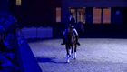 Open House & Stallion Show at Blue Hors - Hingstefremvisning