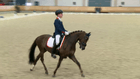 KNHS Indoorkampioenschappen - Felix Hippische Juristen Prize Class Z2 cat. D/E kur