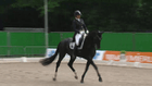 CHIO Rotterdam - Grand Prix Special dressage | CDI3*