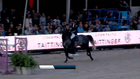 FEI/WBFSH World Breeding Jumping Championships for Young Horses - Final 7-year old horses