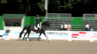 CHIO Rotterdam - CDI3* Grand Prix Special