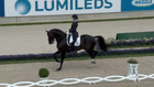 CHIO Aachen - Grand Prix CDIO5*  - competition part of Lambertz-Nationenscup