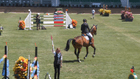 Spruce Meadows Pan American CSI5* - CANADIAN UTILITIES - with Jump-Off - 1.55m