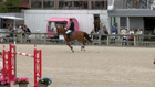 Azelhof CSI2*/1*/YH - CSI2* - 1m45 GP with jump-off