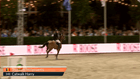 Stephex Masters - CSI3* Top Series  - 1.45m - with 2 rounds