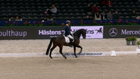Jumping Amsterdam - KNHS-Witte Van Moort Para Dressage Trophy National Para Dressage competition