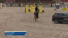 CSI de Peelbergen CSI2*, CSI1* & CSIYH - CSIYH1* Table A with Jump-Off 7-yrs 1.35m