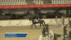 Sentower Park CSI**/CSIYH X-Mass Tour - CSI2* - Two Phases Special - 1.40m