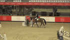 Sentower Park CSI**/CSI* & CSIYH TOUR 2/2 - CSIYH1* - Two Phases Special - 1.35m(7yo)/1.40m(8yo)