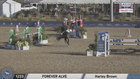 CSI4*/WCHR Desert Circuit VIII - $7,500 Open Classic 1.35m 2.b **