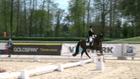 Verden Dressurturnier - FEI Grand Prix Freestyle