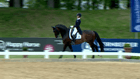 Pferd International 2021 - DRESSUR - CDI4* Grand Prix Special