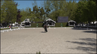 Máriakálnok - CDI3* ( International Dressage Festival HU ) - CDI3* - FEI Grand Prix Special