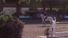WOODSIDE SPRING CLASSIC - $24,500 Spring Classic Gran Prix