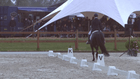 CDI3*/P/CH/J/Y/U25 Grote-Brogel - CDI 3* - Grand Prix Freestyle to Music