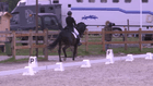CDI3*/P/CH/J/Y/U25 Grote-Brogel - CDIY - Young Riders Freestyle to Music