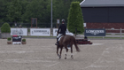 CSI1*/3* Peelbergen with Longines EEF Nations Cup - Int. jumping competition in two-phases special (1.40 m)