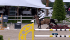 CSI1*/3* Peelbergen with Longines EEF Nations Cup - Int. jumping competition against the clock (1.50 m)