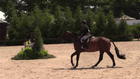 CSI4*  TRAVERSE CITY SPRING HORSE SHOW I - GREEN 3'6/HIGH PERF O/F STAKE U/S