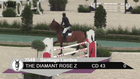 WEC Ocala Summer IV - Futures Prix 1.35m 340.c