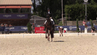 Dress'In Deauville - CDI*** - Prix DS Automobiles  CDI ** – Freestyle Inter I